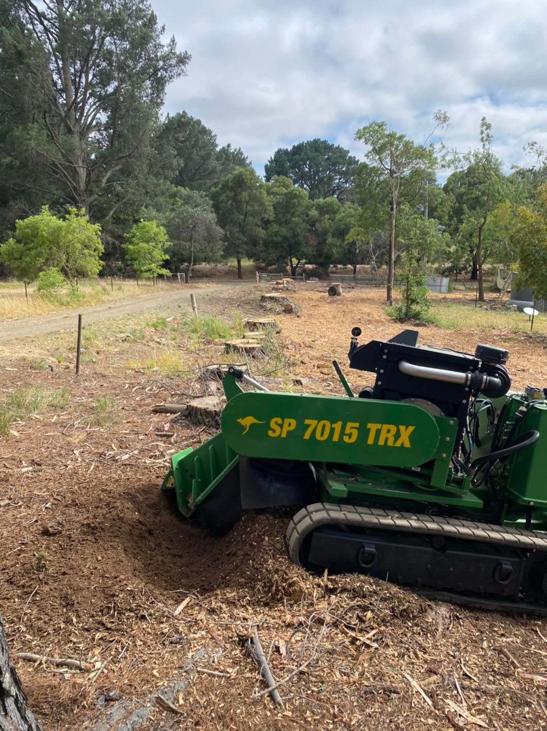 stump to be removed in Ballan