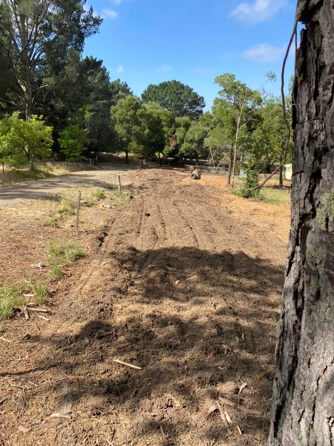 tree stump removed in Ballan