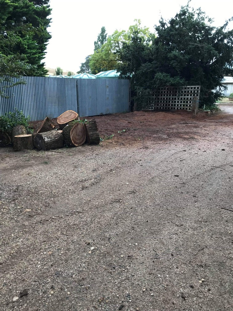 garden beautified after removing a tree stump in Ballan