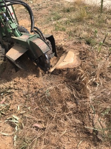 removing a stump in Ballan