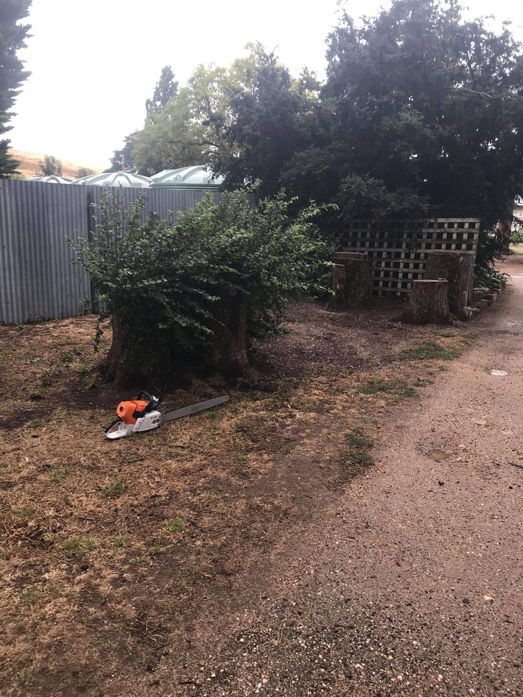 removing a stump in Ballan