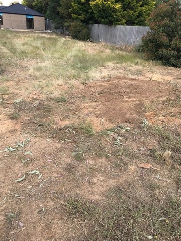 garden beautified after removing a tree stump in Ballan