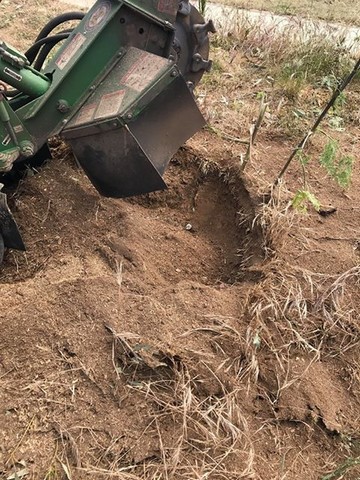 tree stump removed in Ballan